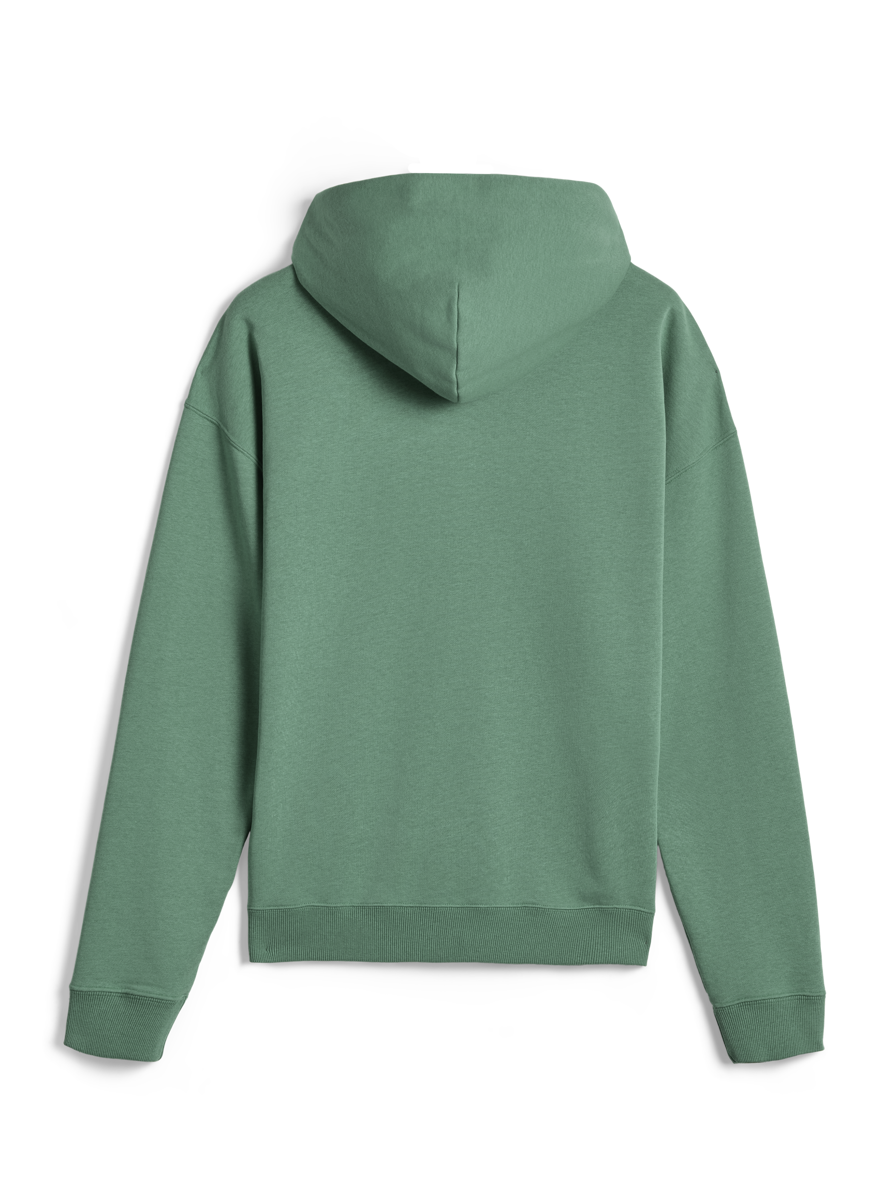 Alpinestars Essentials Ageless Hoodie, casual streetwear, Cactus green, back view, long sleeves, hooded pullover with ribbed cuffs and hem, clean minimalist design