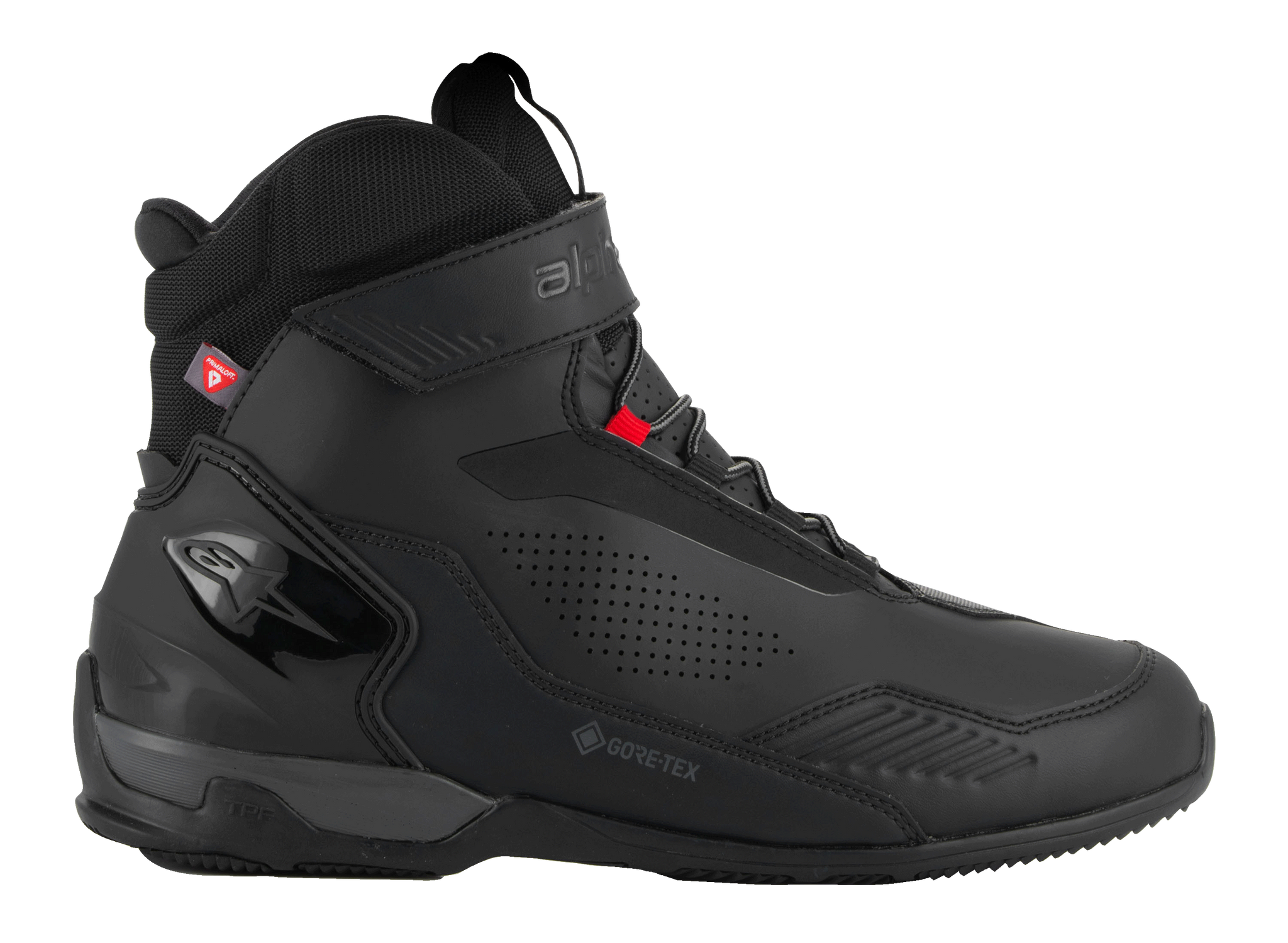 Austral GTX Shoes