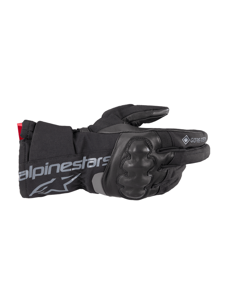 Wt-4 Gore-Tex Insulated Glove